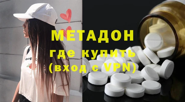 прущие грибы Абаза
