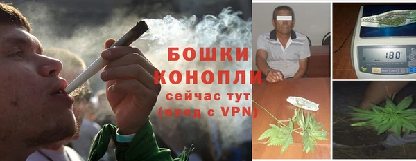 PSILOCYBIN Алексин