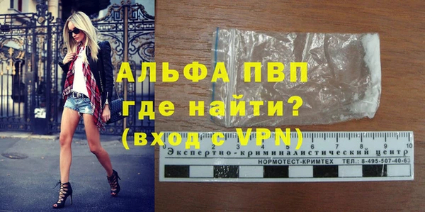 индика Нефтегорск