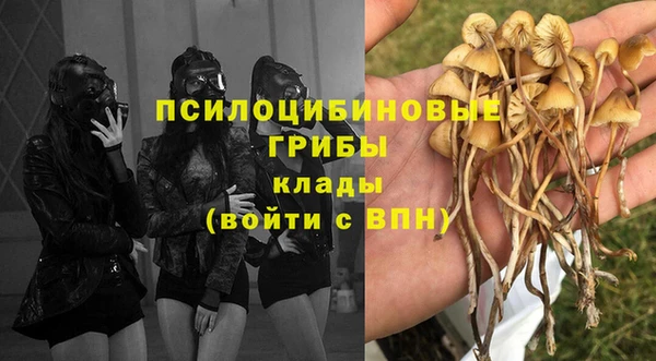 PSILOCYBIN Алексин