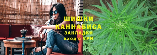 крисы Абдулино