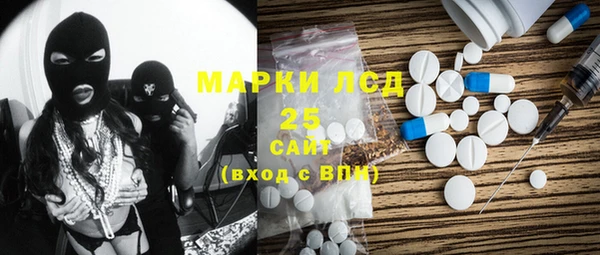 прущие грибы Абаза