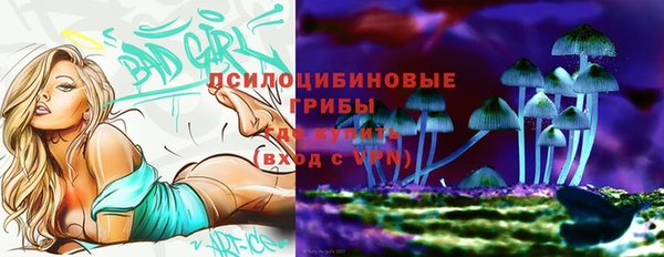 прущие грибы Абаза
