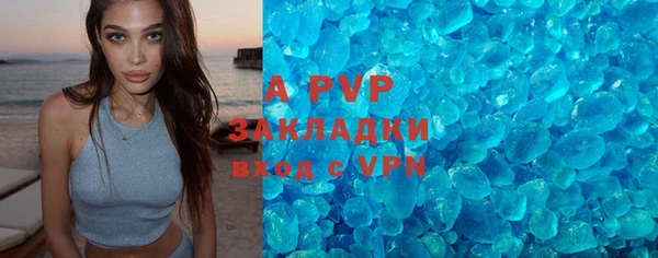прущие грибы Абаза