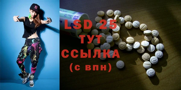 прущие грибы Абаза